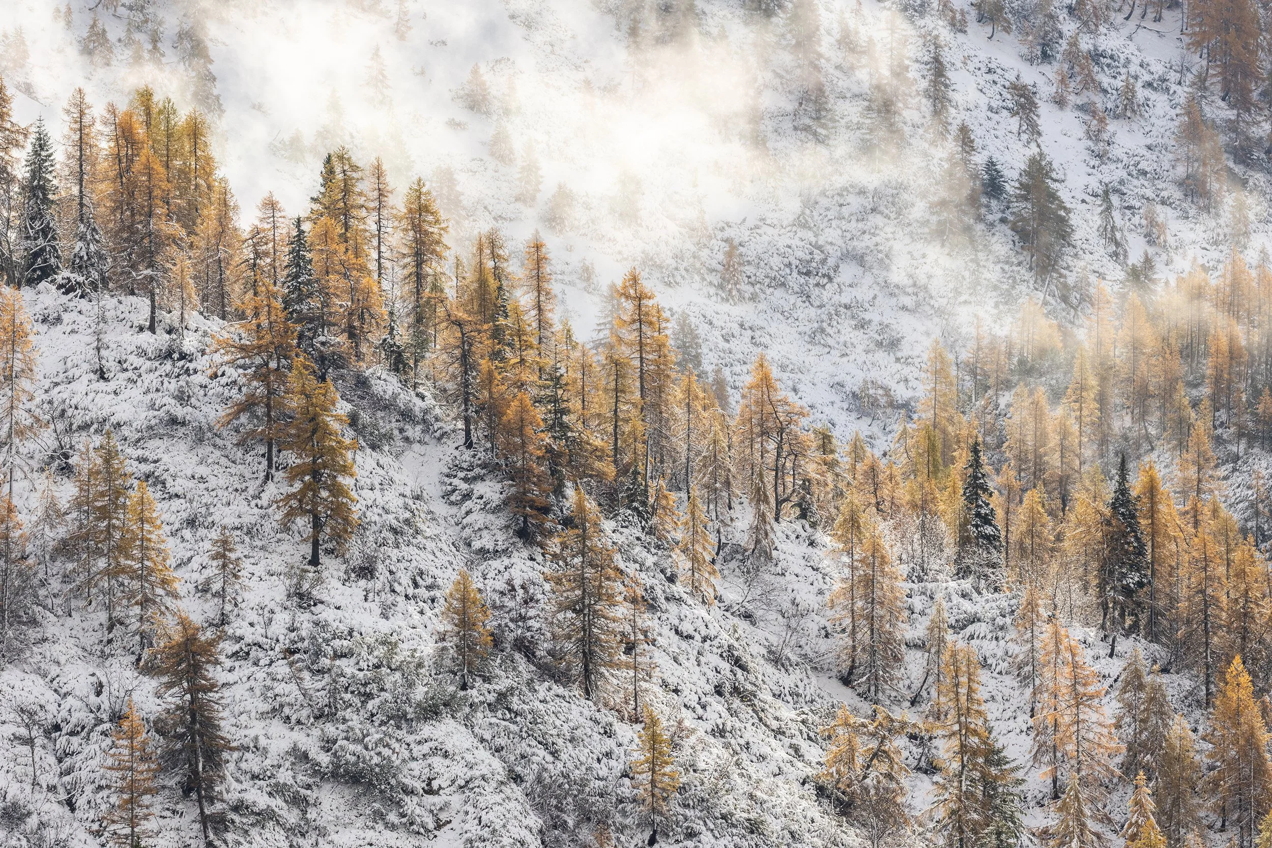 Slovenië_vroege sneeuw herfst_low.jpg