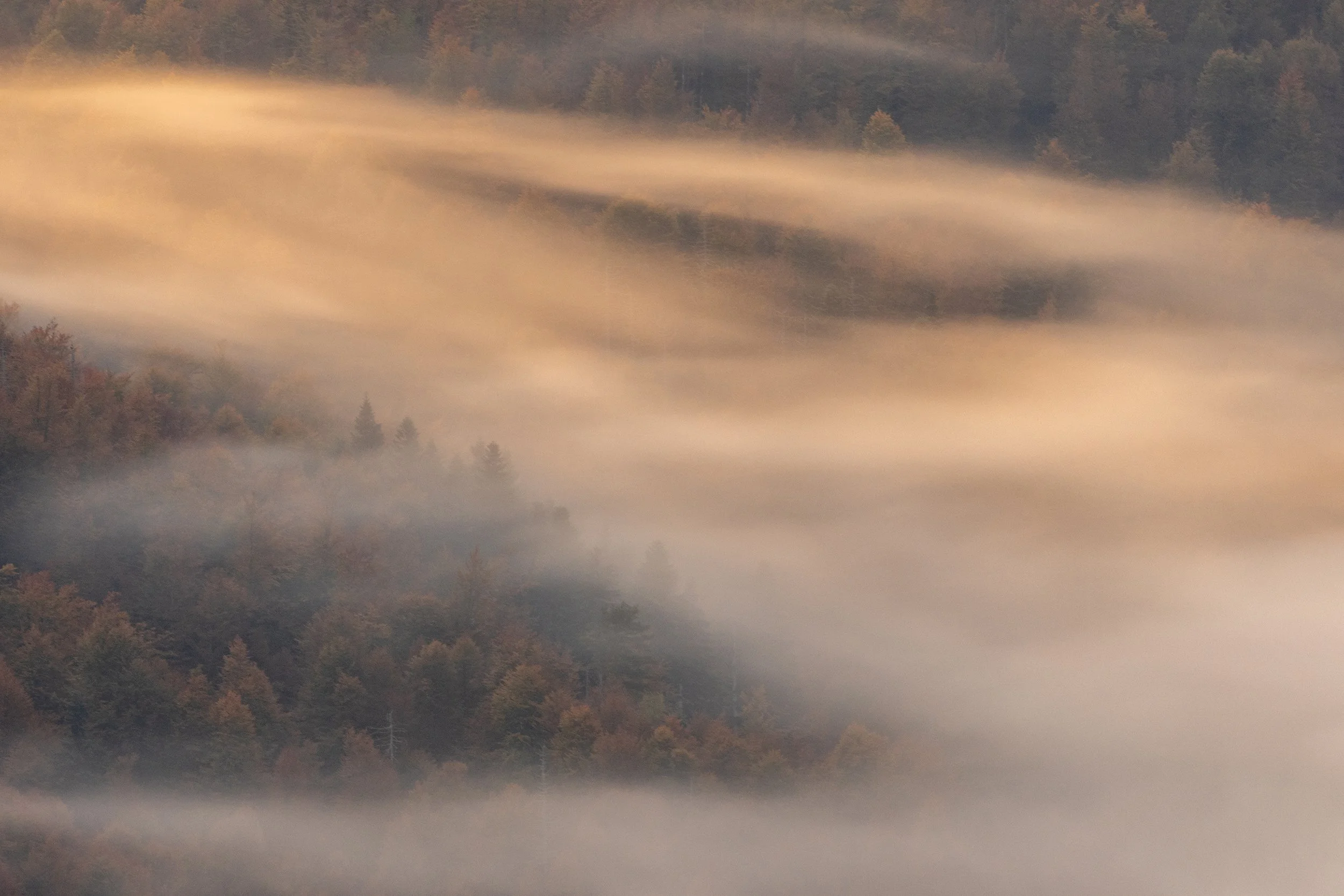 Kroatië_Mist in vallei_licht_low.jpg