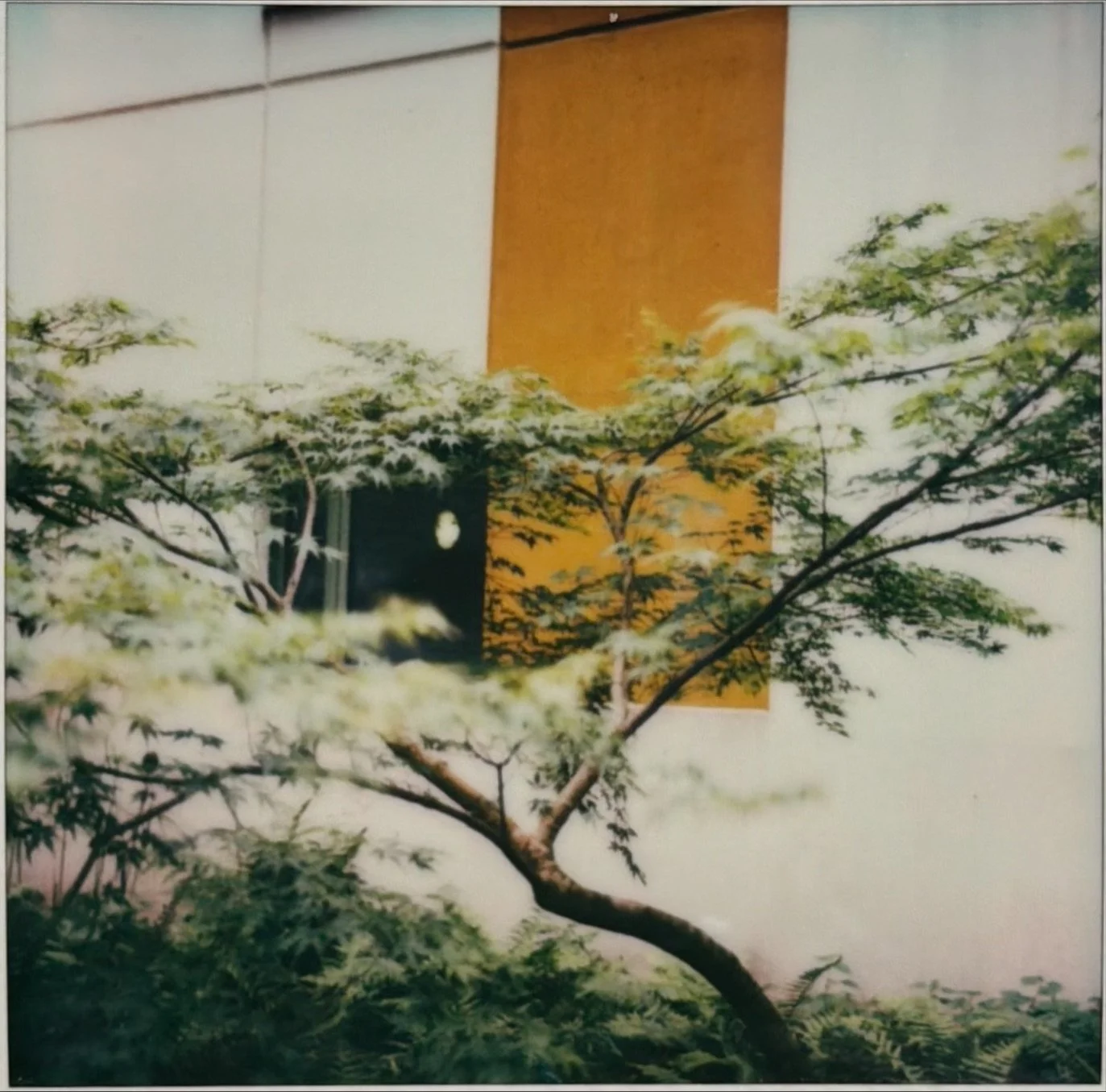 ZA-POLA-CHU-BDX-IMG_5131.jpeg