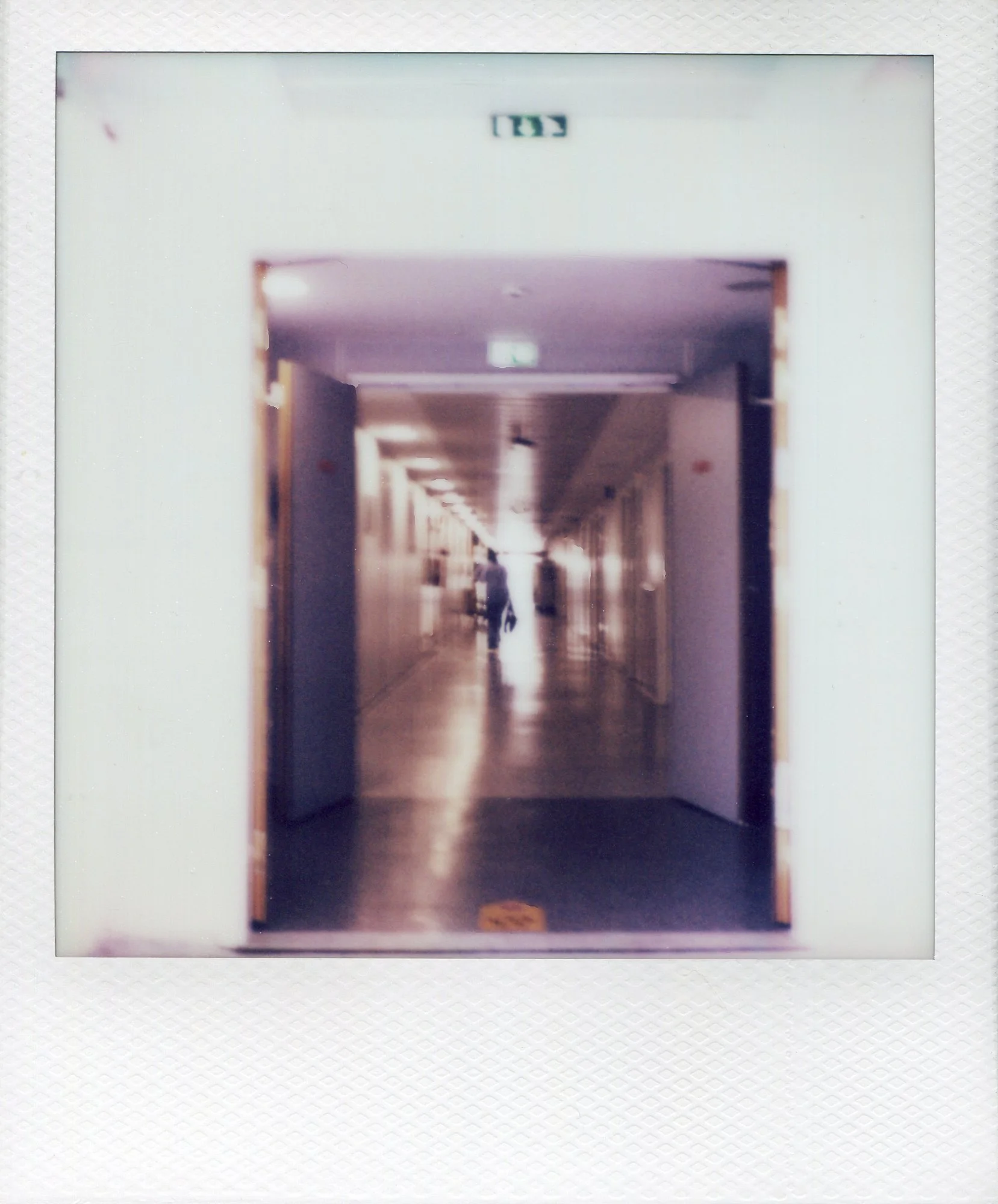 03-POLA CHU20260612_0003-WEB.jpg