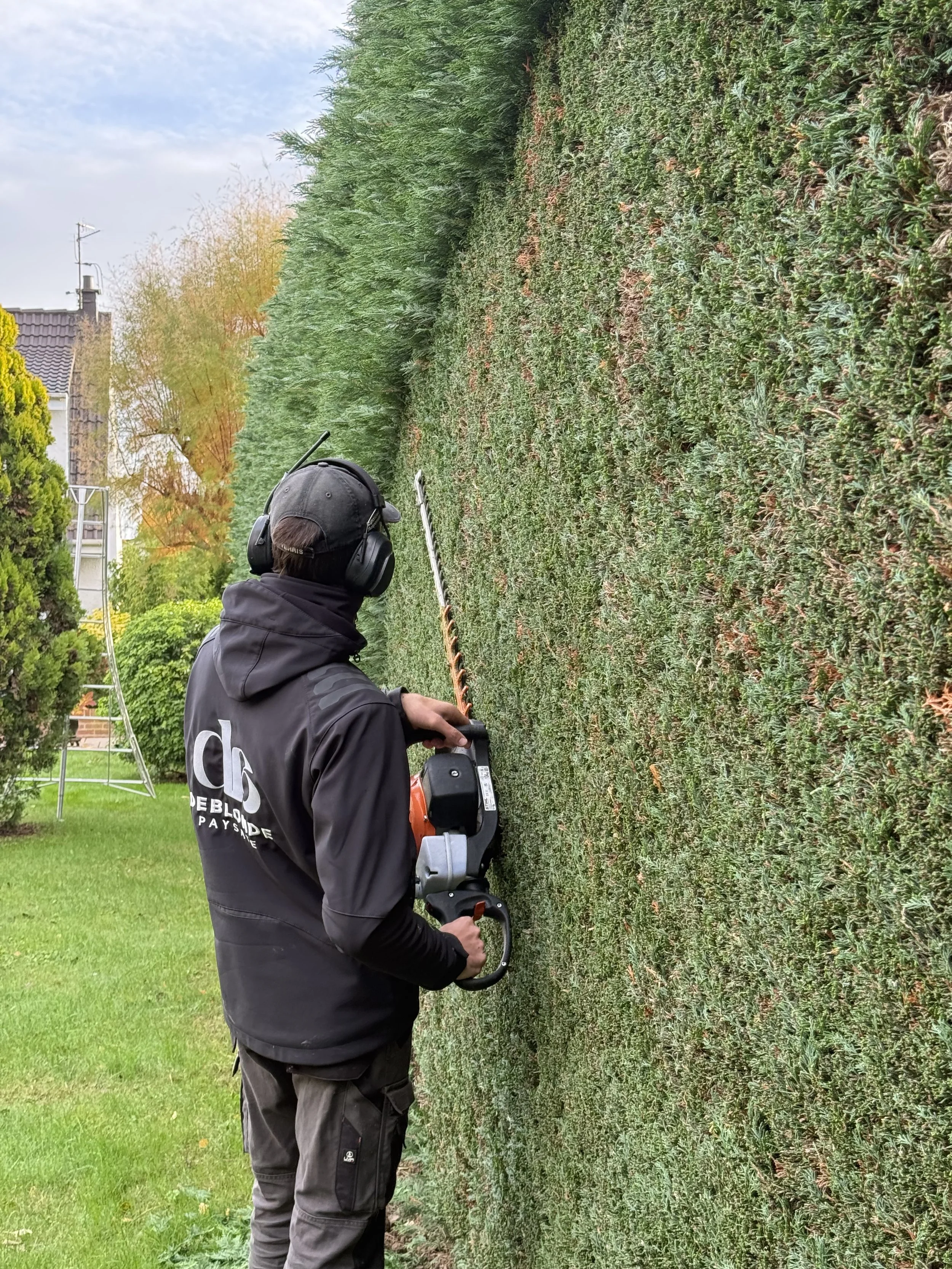 Un homme utilisant une débroussailleuse électrique pour tailler un haut buisson vert dans un jardin.