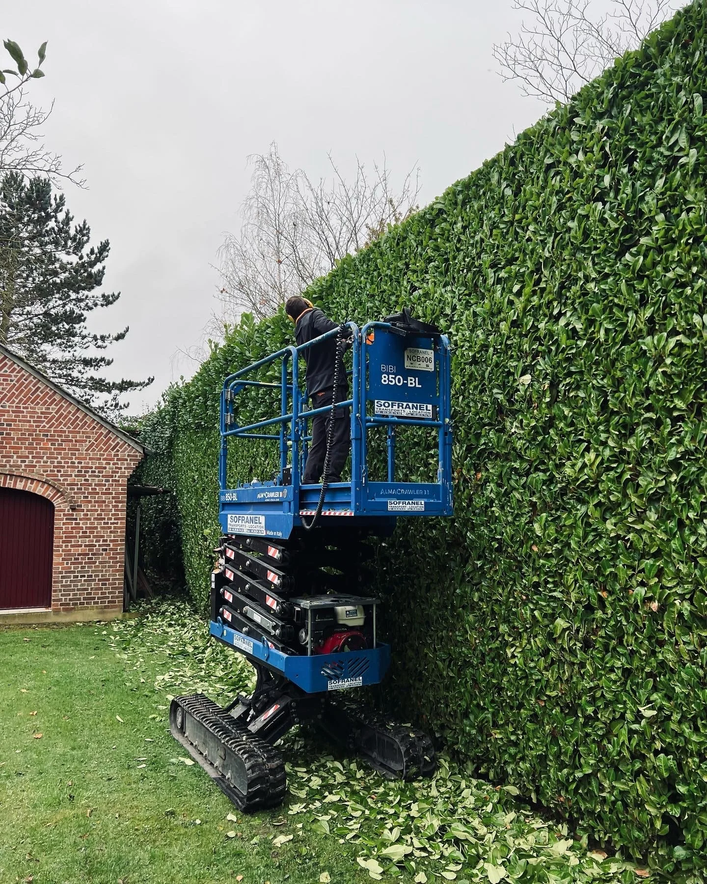Un homme sur une nacelle élévatrice taille une grande haie verte avec des feuilles tombées au sol, à côté d'un bâtiment en brique.