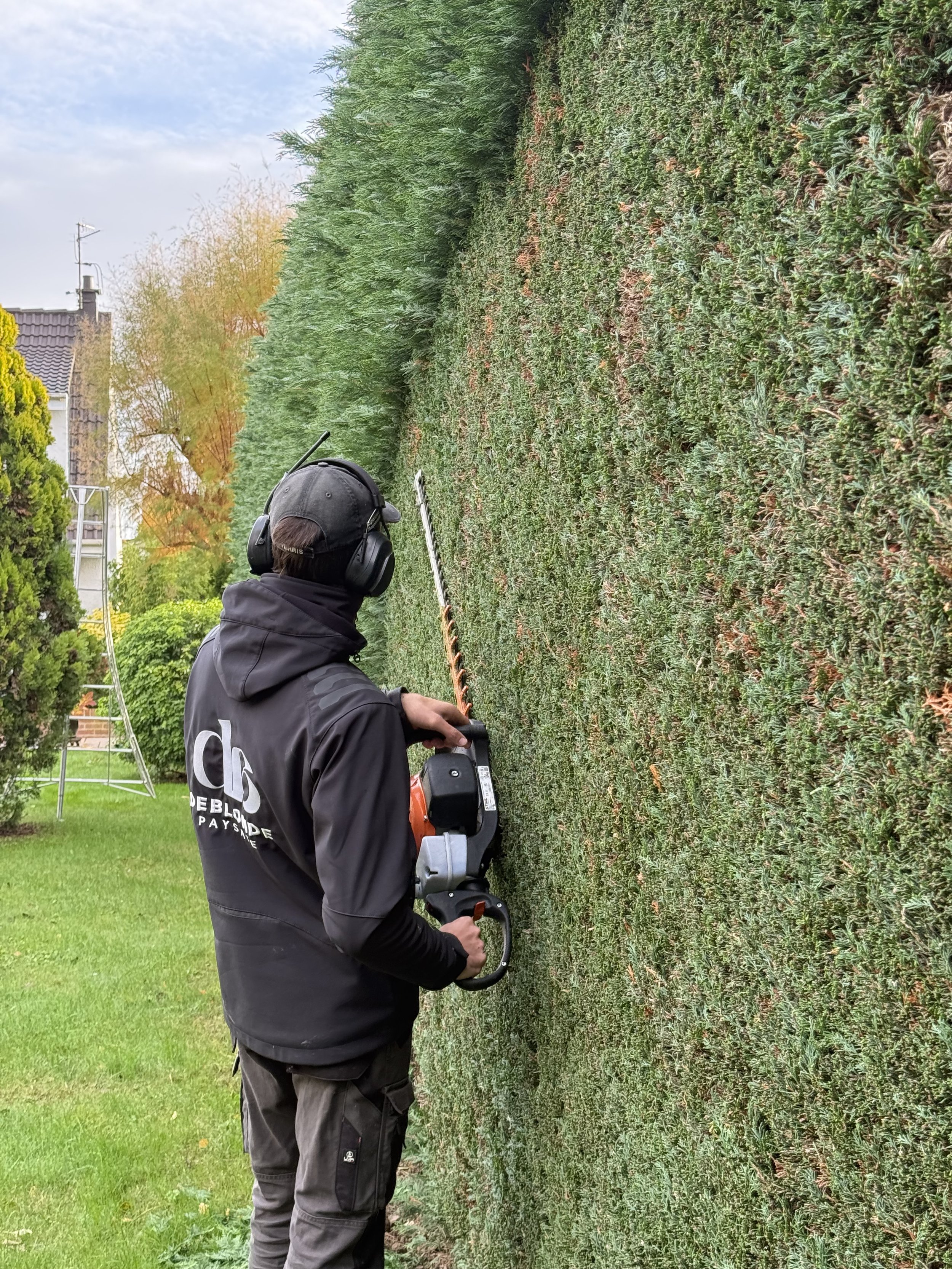 Une personne utilisant une machine de taille de haie pour tailler une haie d'arbustes dans un jardin, portant un casque antibruit et vêtue d'une veste noire avec un logo.