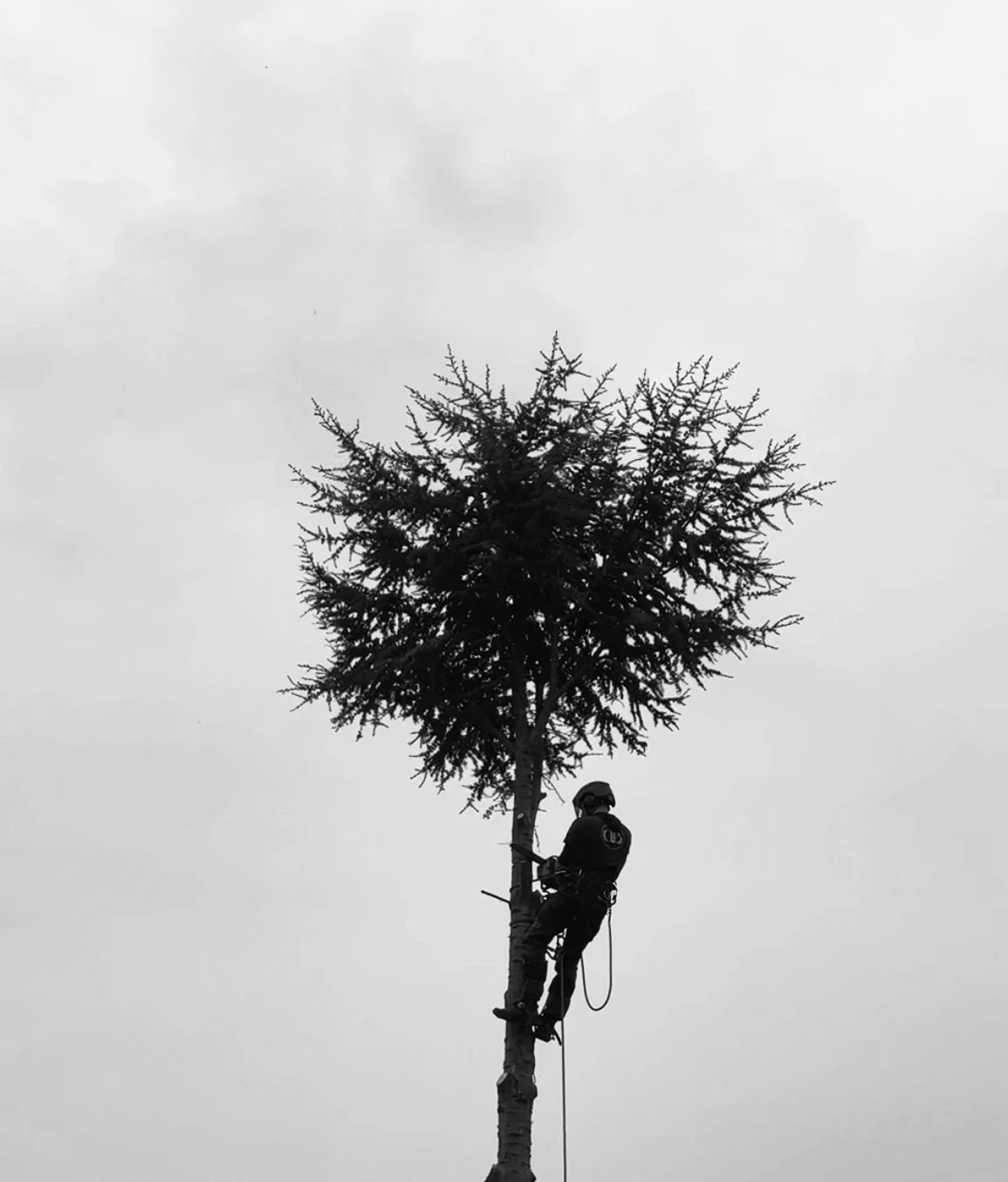 Projet Oranssi : terrasse panoramique