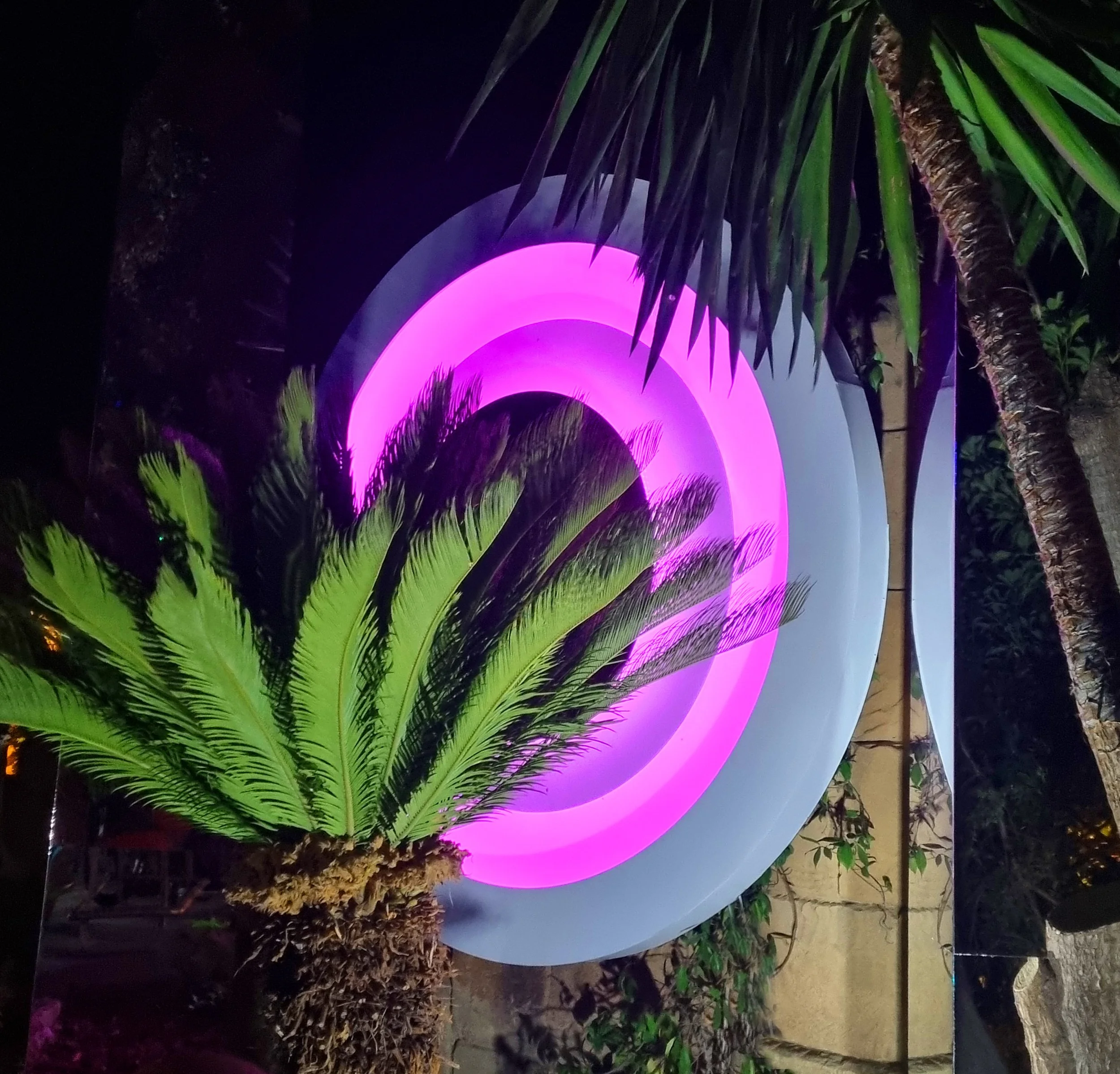 20210629_225731 copia.jpg