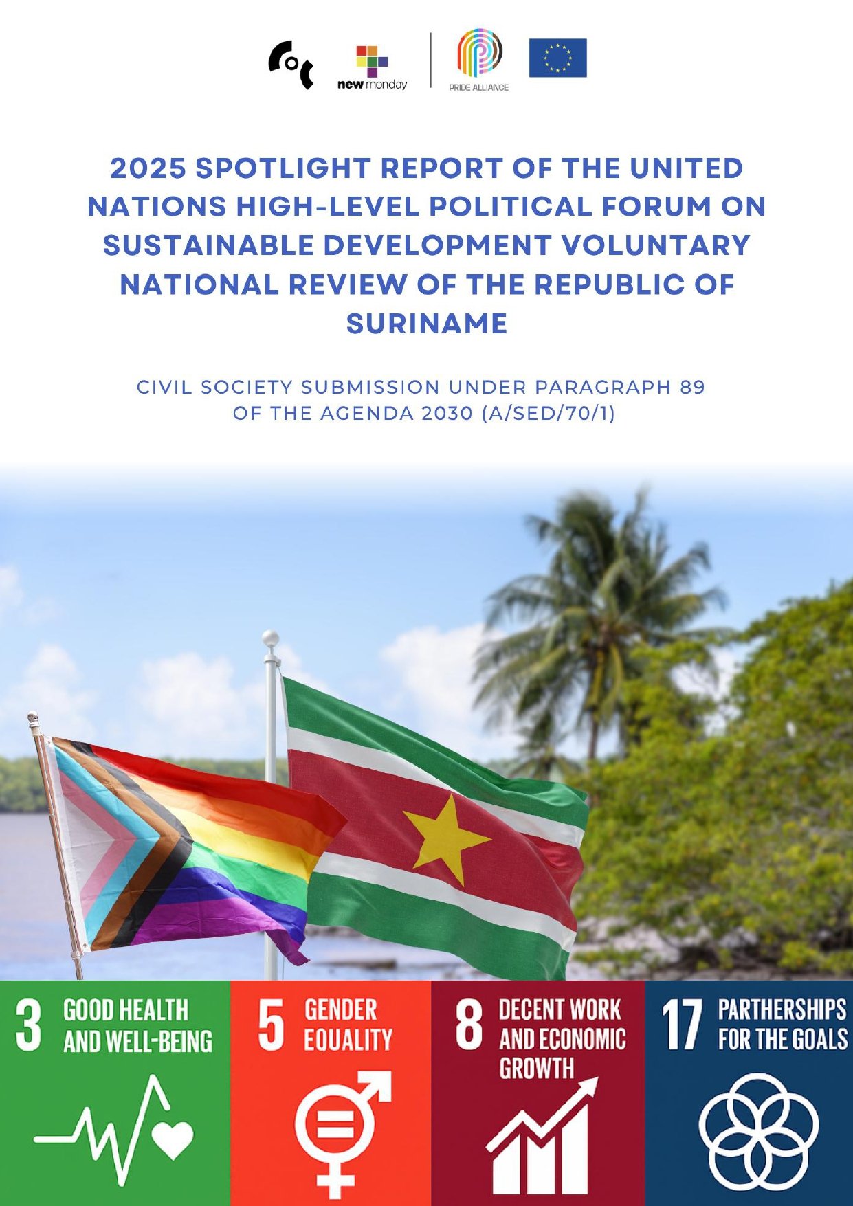 Spotlight Report: Suriname 2025