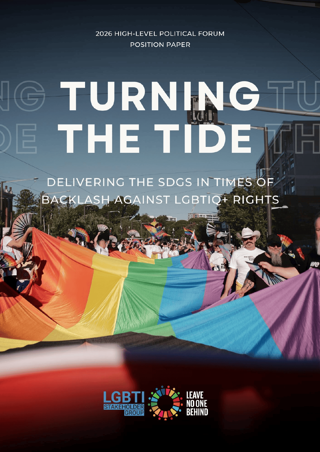 The LGBTI SG Position Paper for HLPF 2026