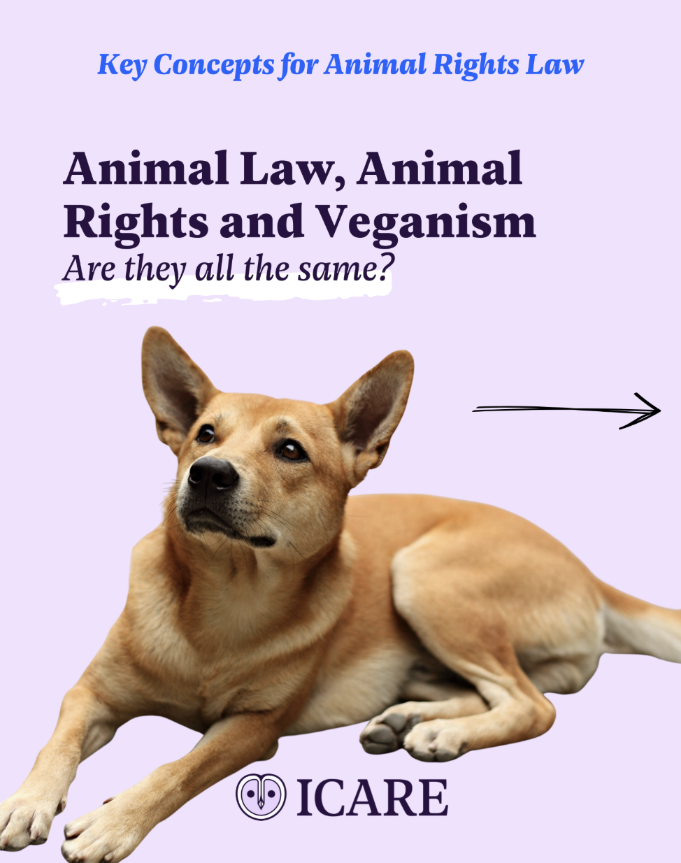 Capture d’écran 2025-11-25 à 15.01.02.png