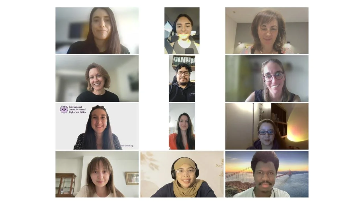 GFST course participants (2026)