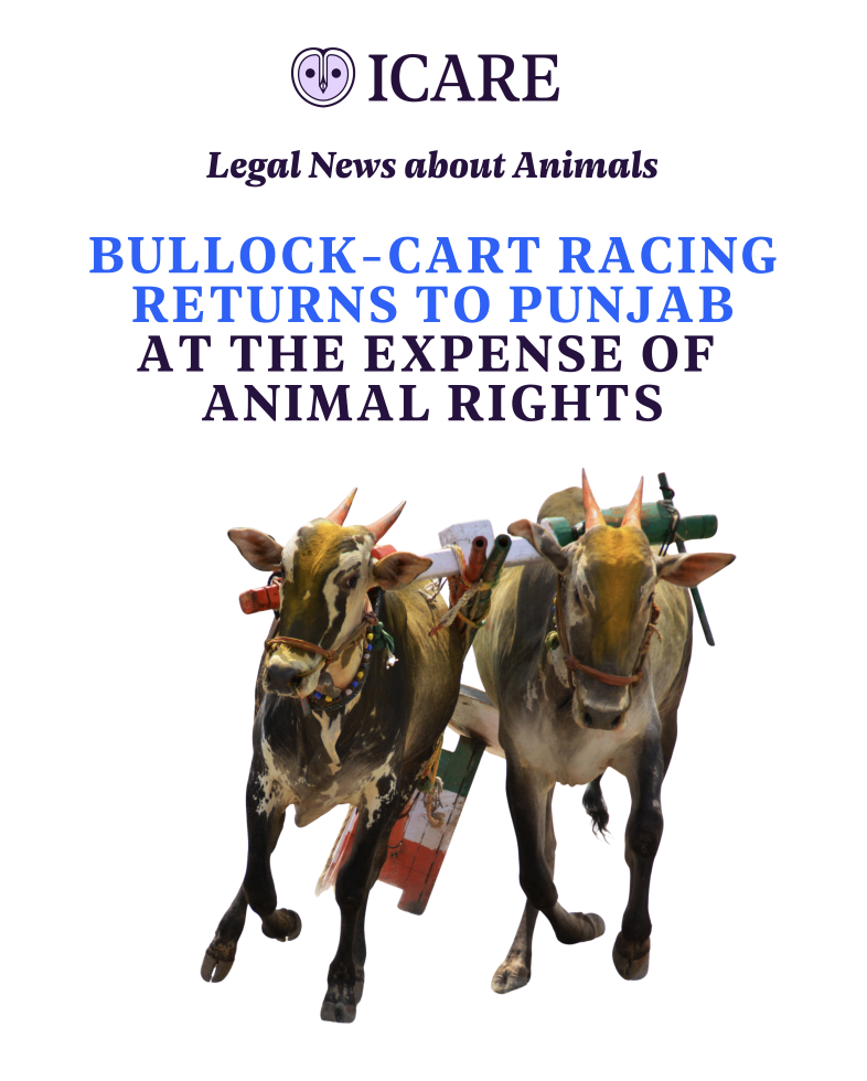 Capture d’écran 2025-11-01 à 18.31.49.png