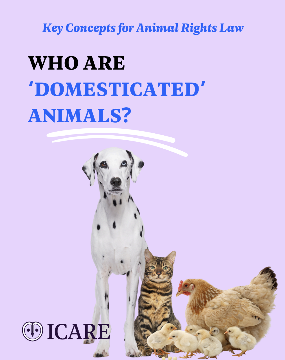 Capture d’écran 2025-11-25 à 14.43.51.png