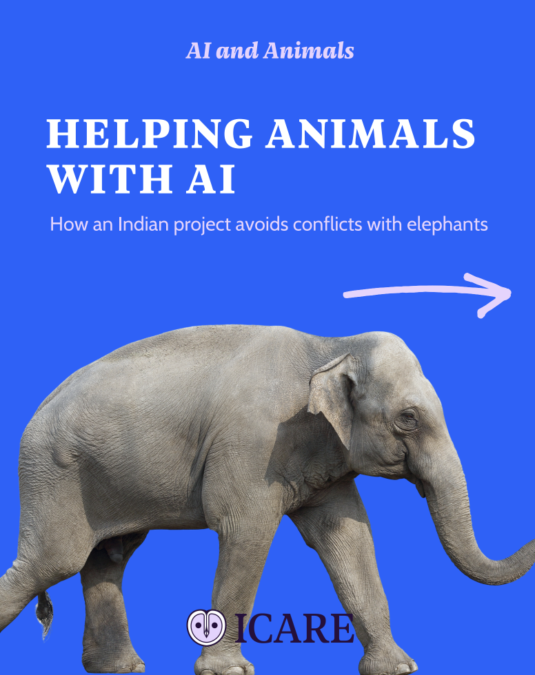 Capture d’écran 2025-11-02 à 13.20.43.png