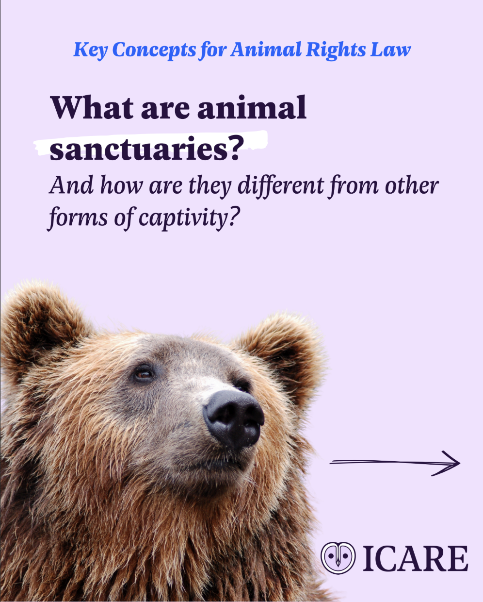 Capture d’écran 2025-11-25 à 15.05.06.png