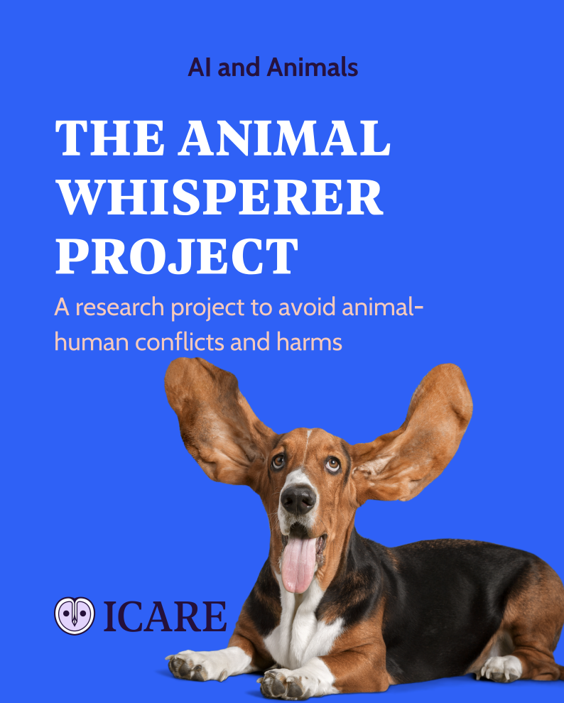 Capture d’écran 2025-11-02 à 13.10.20.png