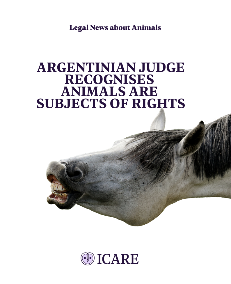 Capture d’écran 2025-11-01 à 18.43.08.png