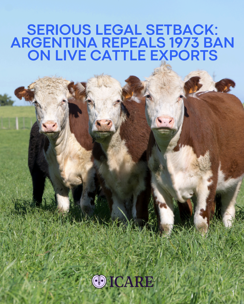 Capture d’écran 2025-11-01 à 18.53.12.png