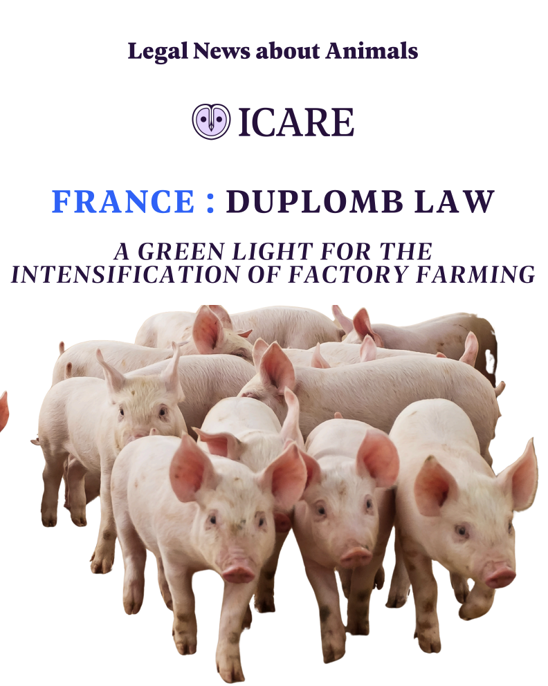 Capture d’écran 2025-11-01 à 18.27.30.png