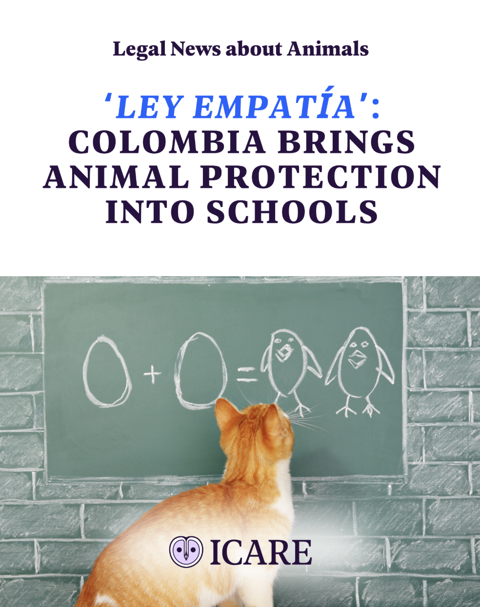 Capture d’écran 2025-11-25 à 13.47.35.png