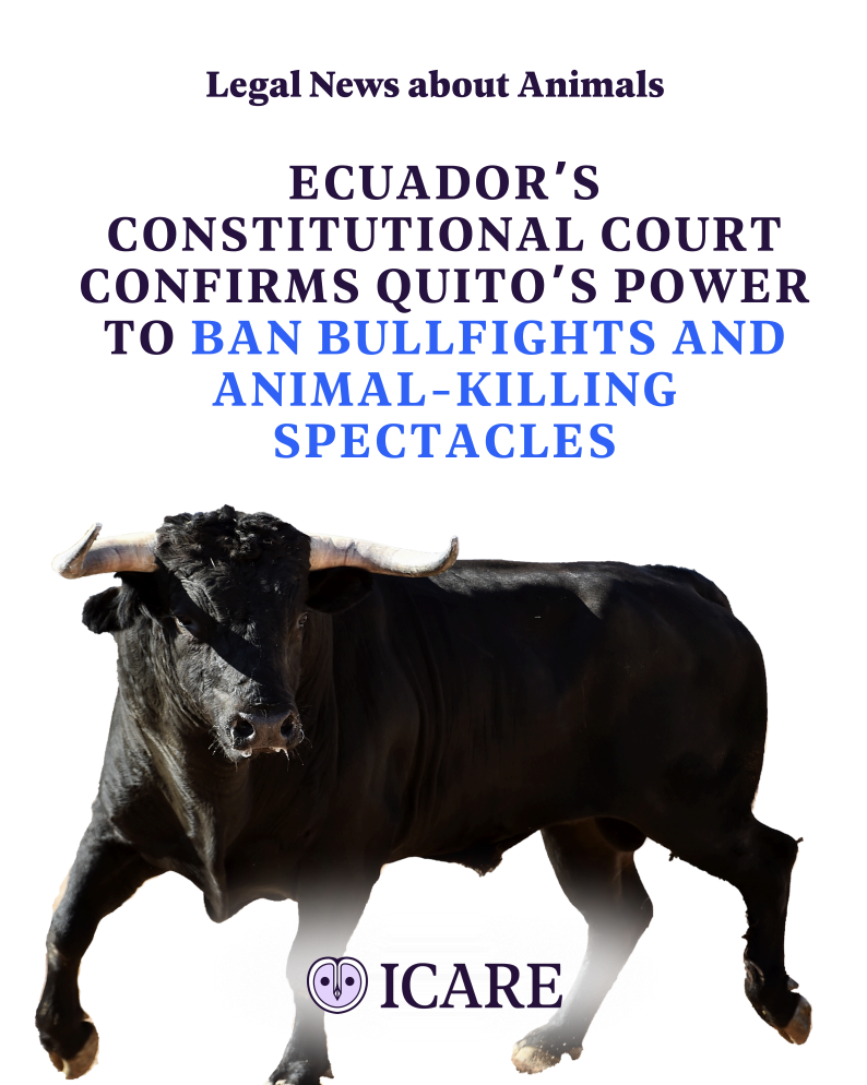 Capture d’écran 2025-11-10 à 18.40.12.png