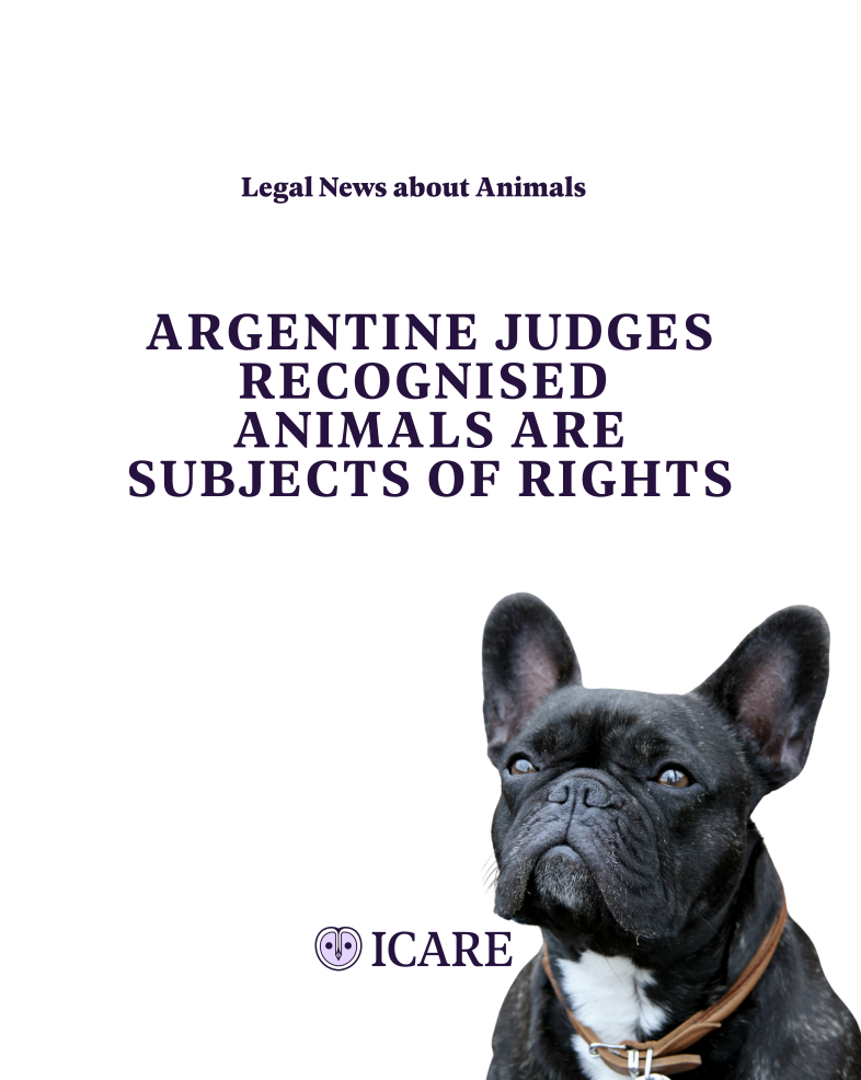 Capture d’écran 2025-11-01 à 18.39.38.png