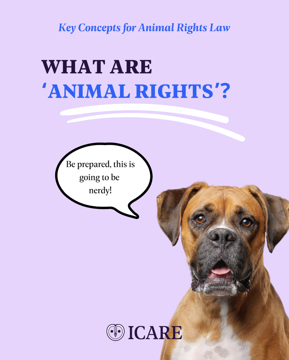 Capture d’écran 2025-11-25 à 14.48.32.png