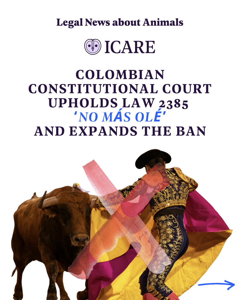 Capture d’écran 2025-11-01 à 18.24.01.png