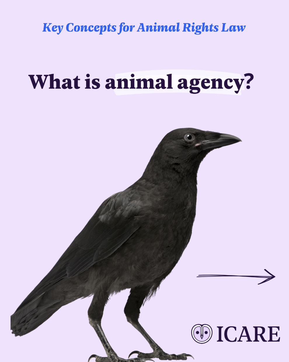 Capture d’écran 2025-11-25 à 15.03.06.png