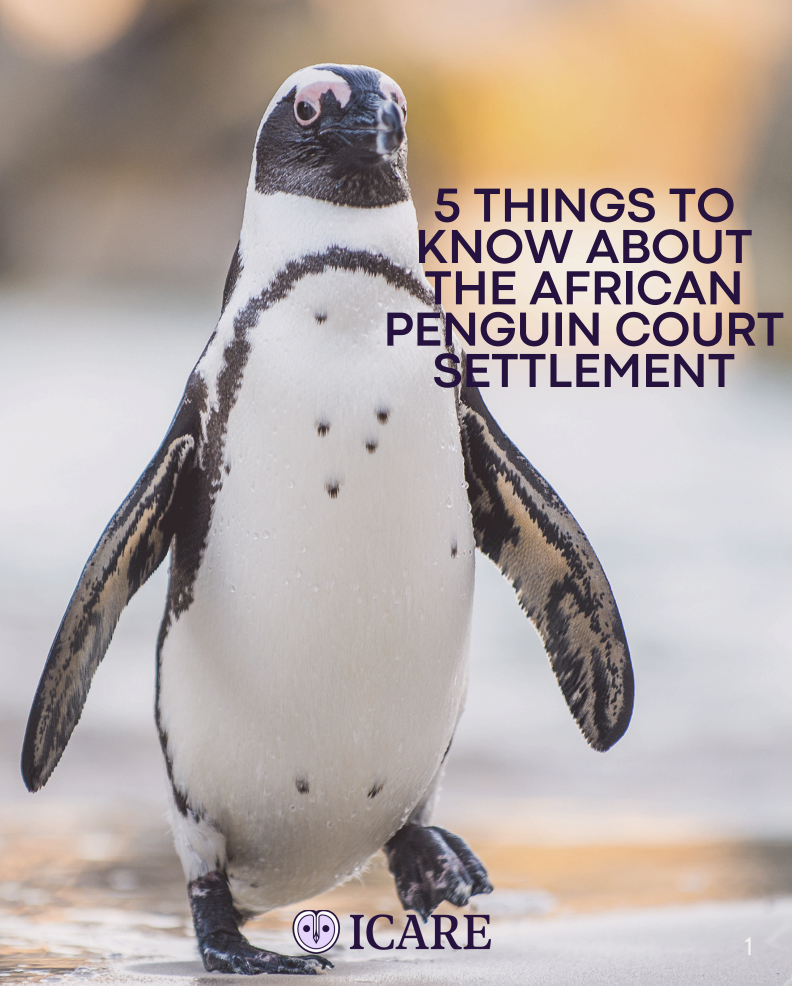 Capture d’écran 2025-11-01 à 18.41.55.png