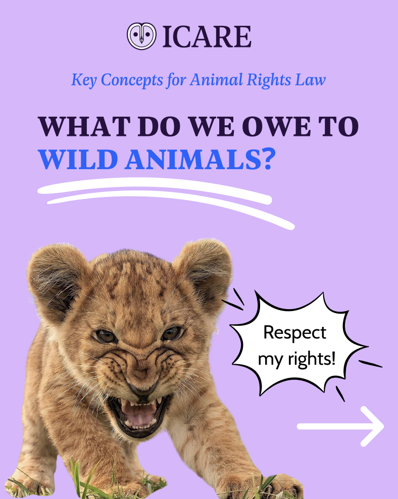 Capture d’écran 2025-11-25 à 14.55.24.png