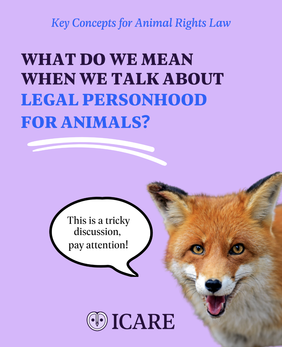 Capture d’écran 2025-11-25 à 14.50.48.png