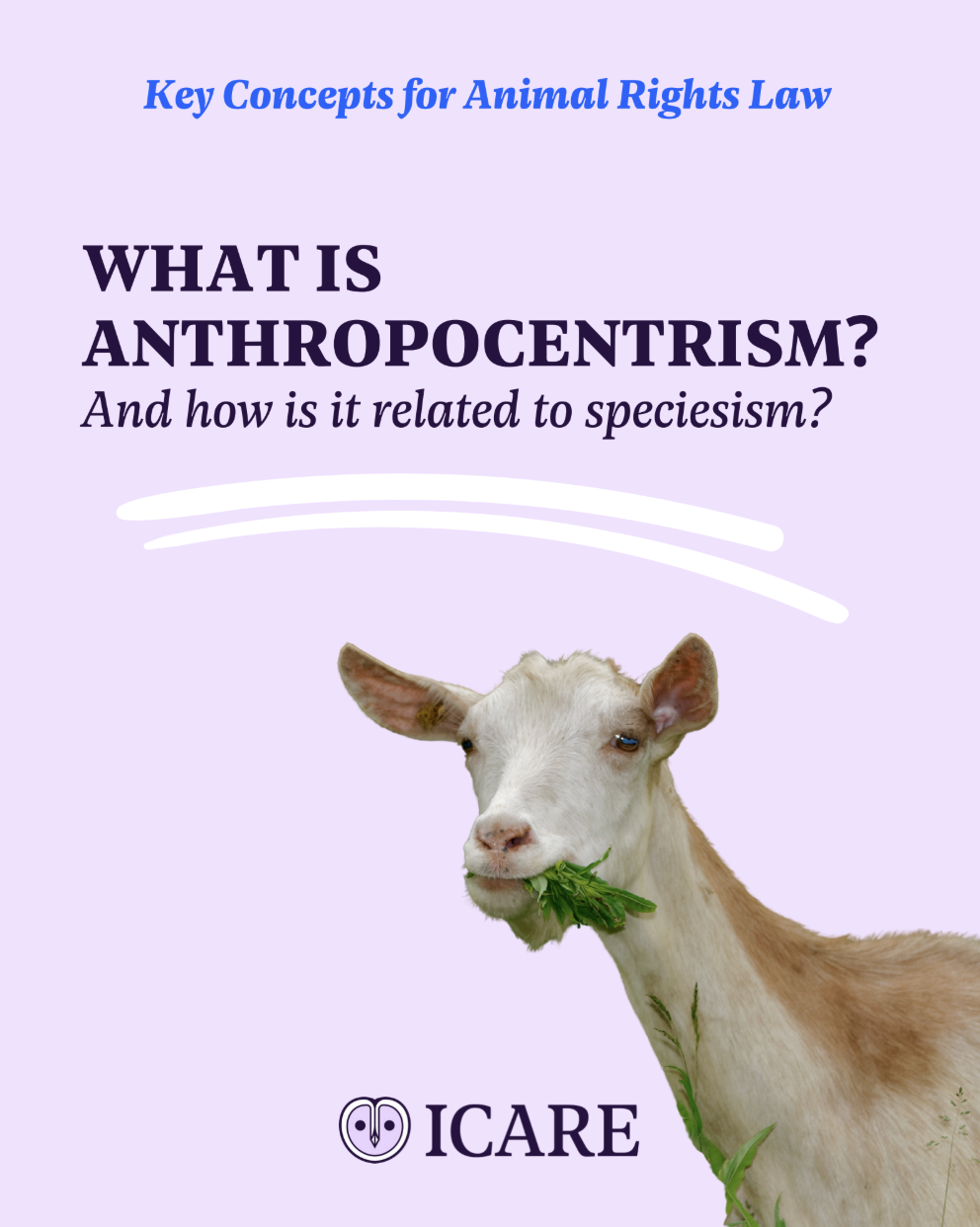 Capture d’écran 2025-11-25 à 14.59.05.png