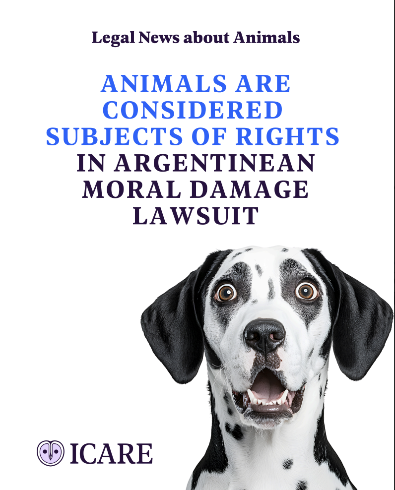 Capture d’écran 2025-11-01 à 18.25.35.png