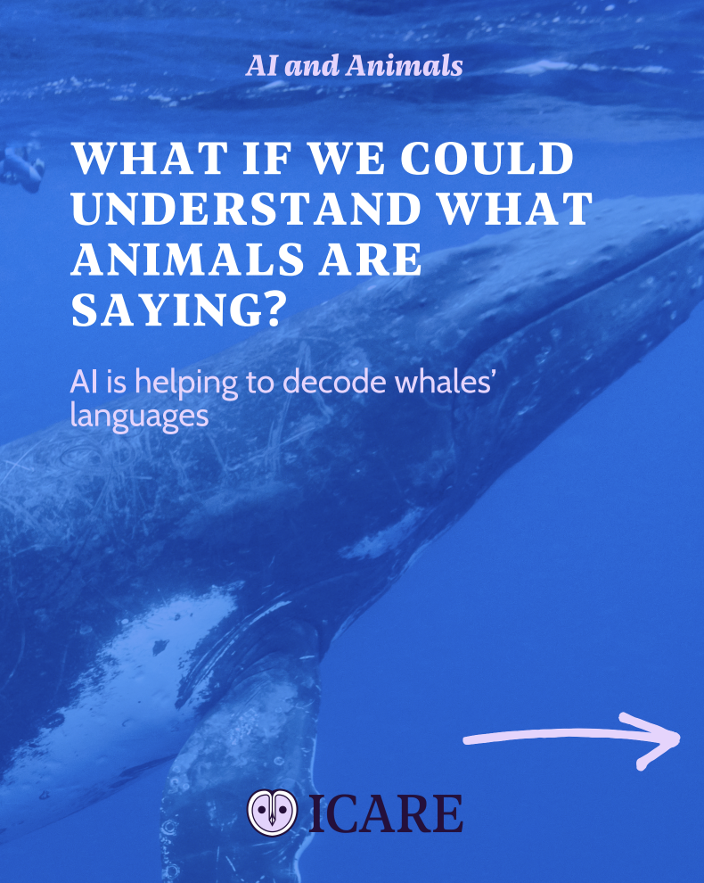 Capture d’écran 2025-11-02 à 13.19.49.png