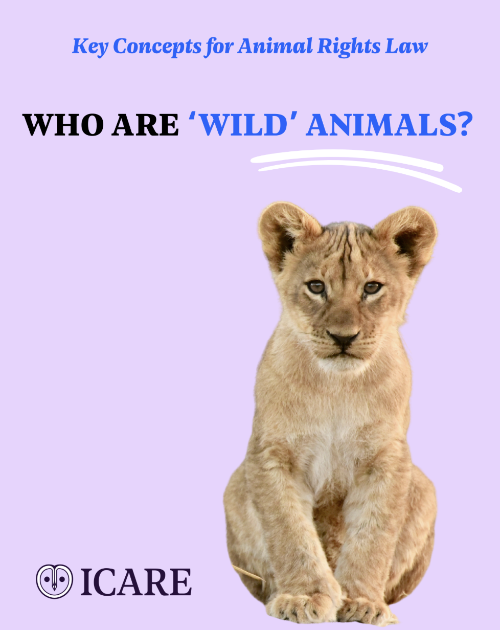 Capture d’écran 2025-11-25 à 14.46.05.png