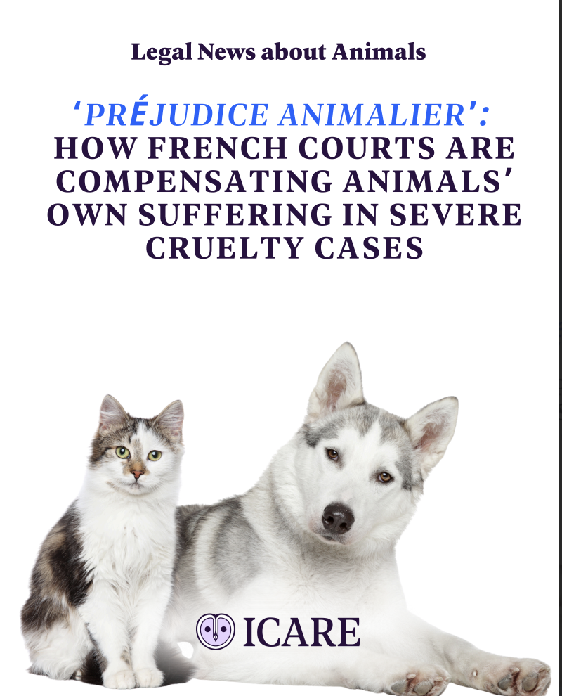 Capture d’écran 2025-11-01 à 18.22.17.png