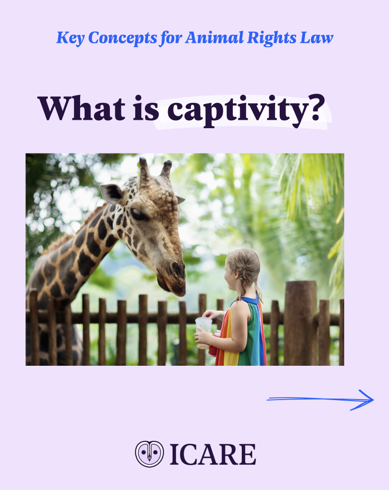 Capture d’écran 2025-11-25 à 15.03.57.png