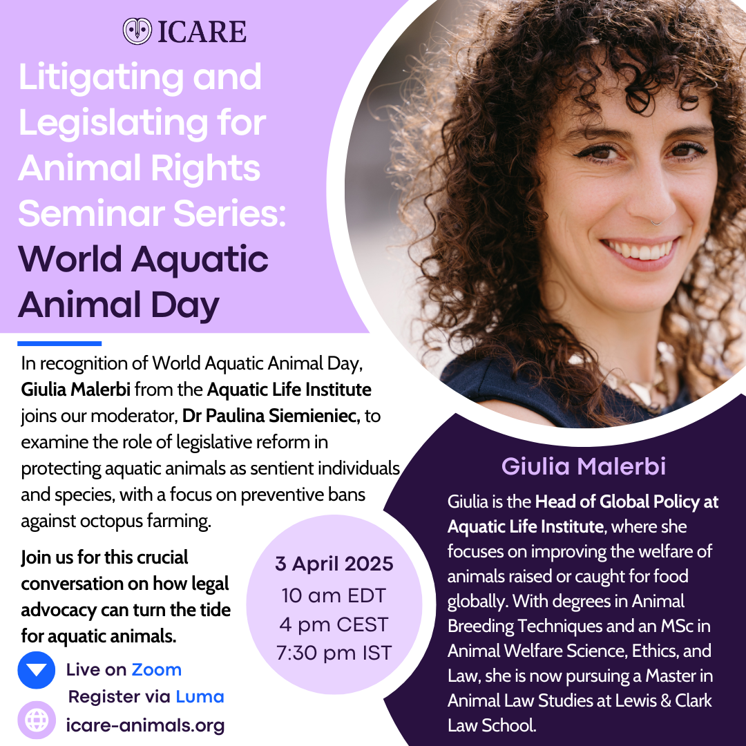 An octopus resting on the ocean floor with rocks and coral in the background.