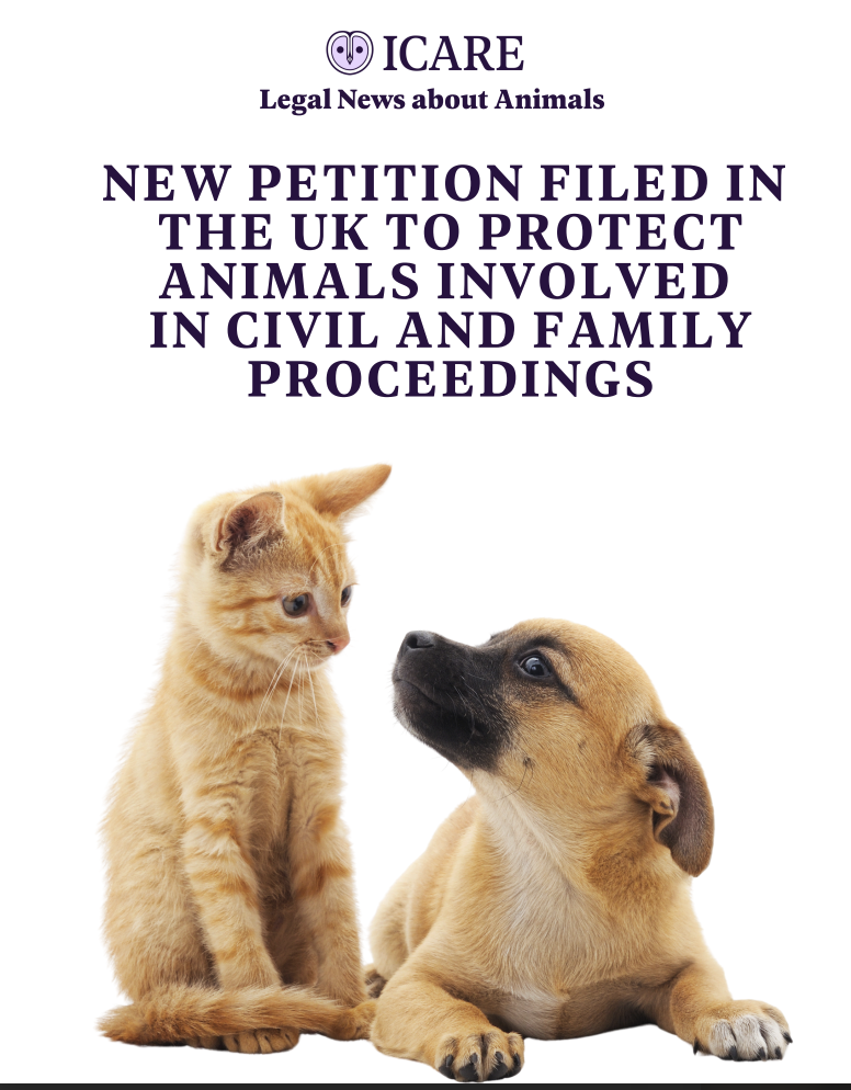 Capture d’écran 2025-11-01 à 18.51.16.png