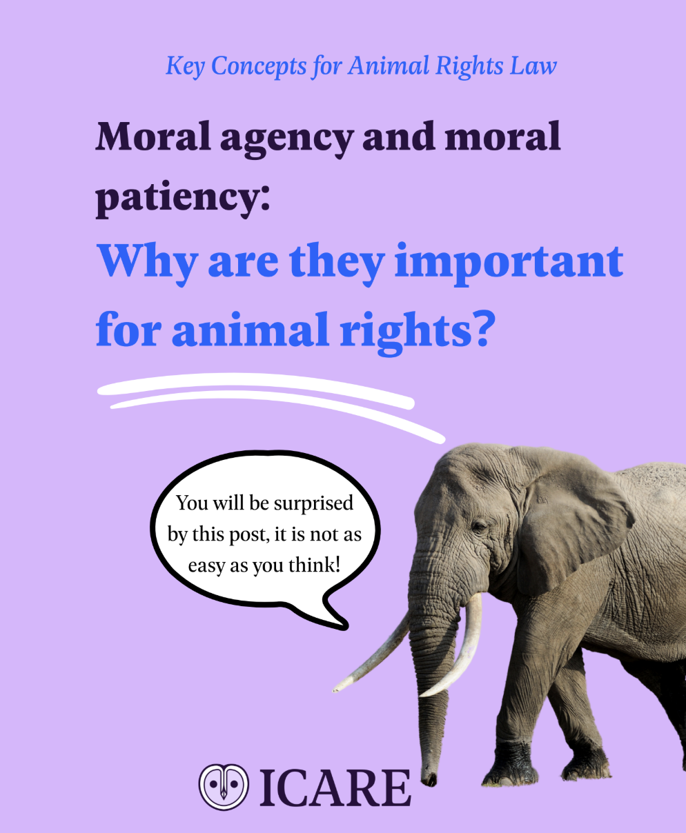 Capture d’écran 2025-11-25 à 14.52.45.png