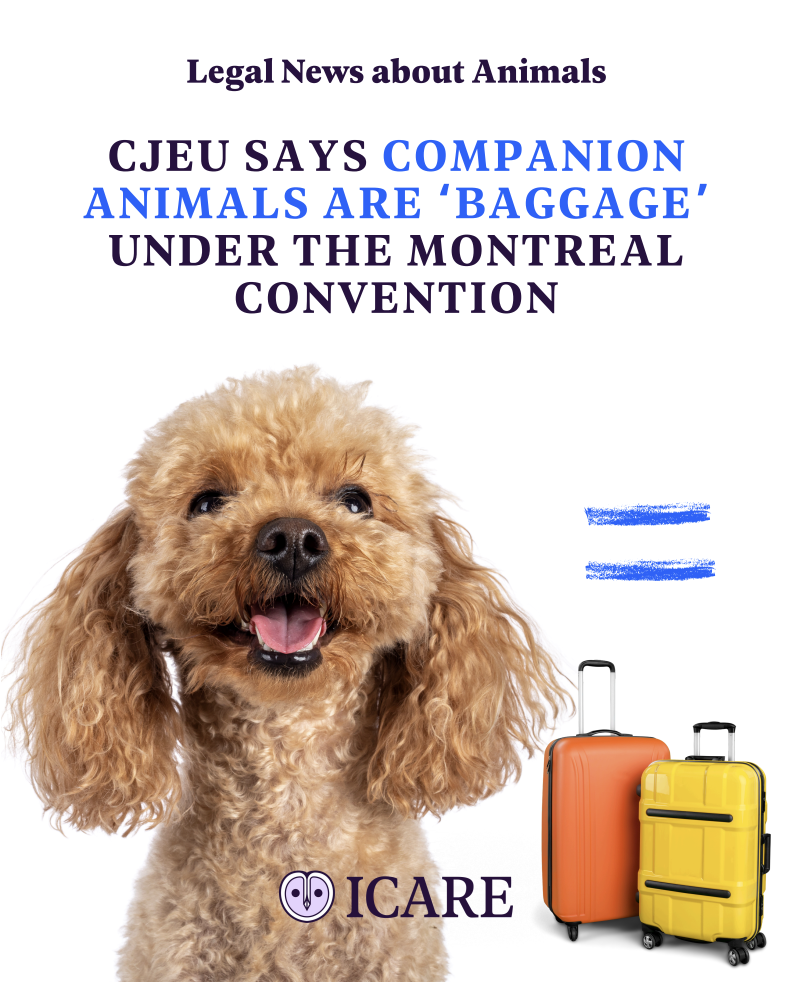 Capture d’écran 2025-11-01 à 18.20.44.png