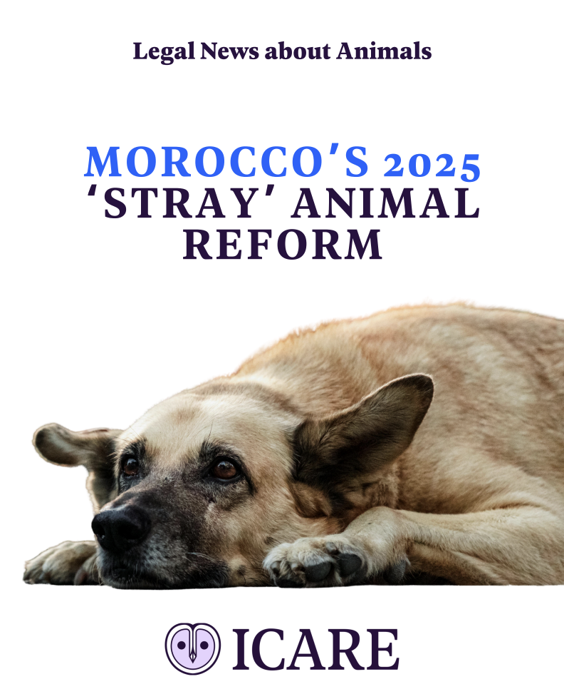 Capture d’écran 2025-11-01 à 18.29.30.png