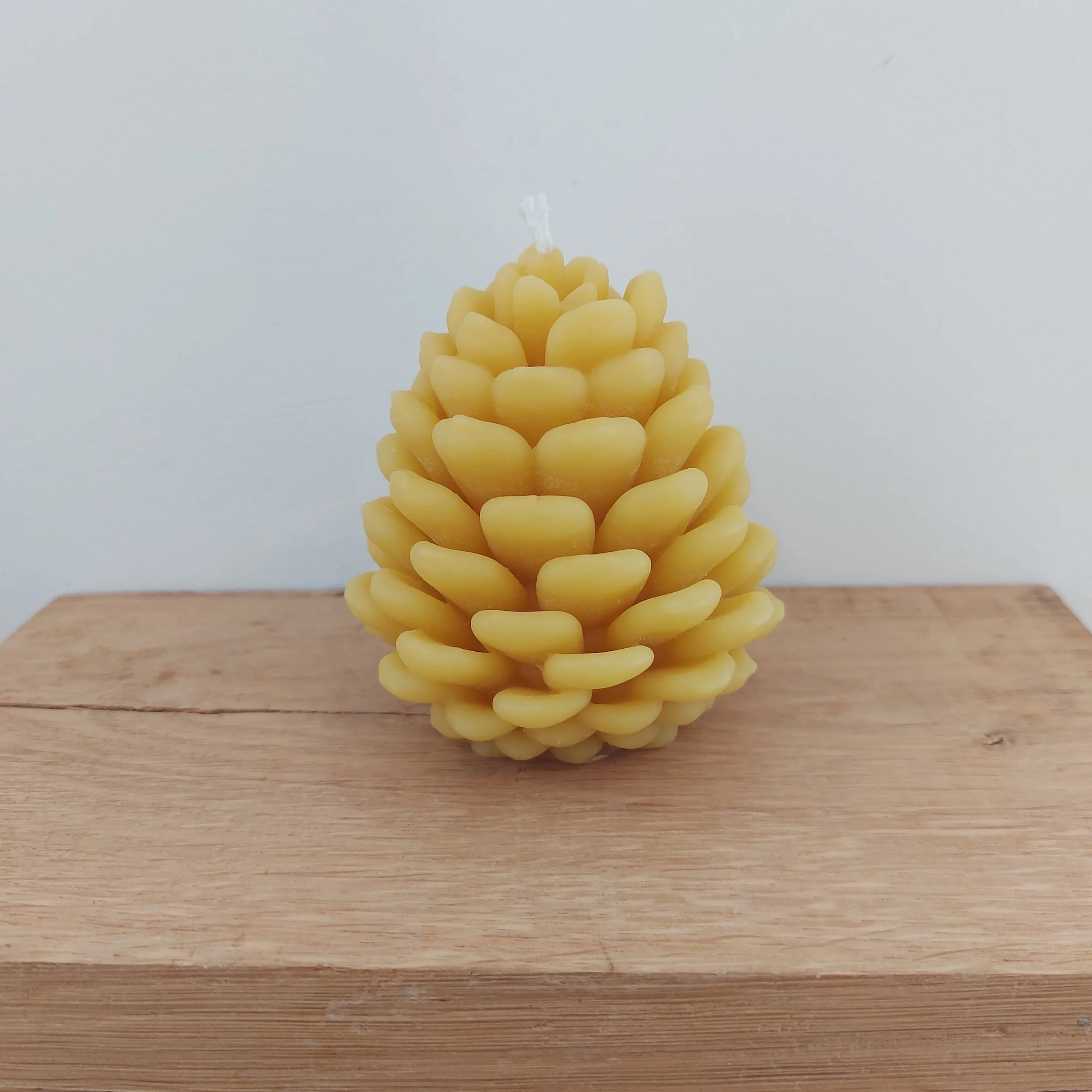 25.10.06 wenyn pine cone candle front.jpg