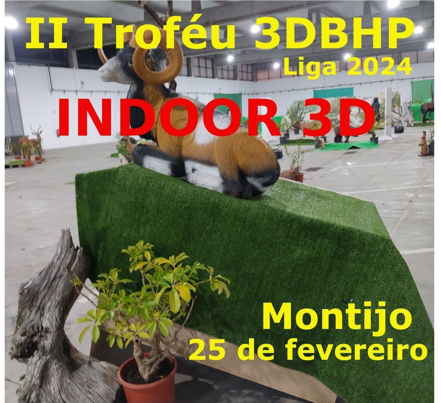 II Troféu 3DBHP - Liga 2024