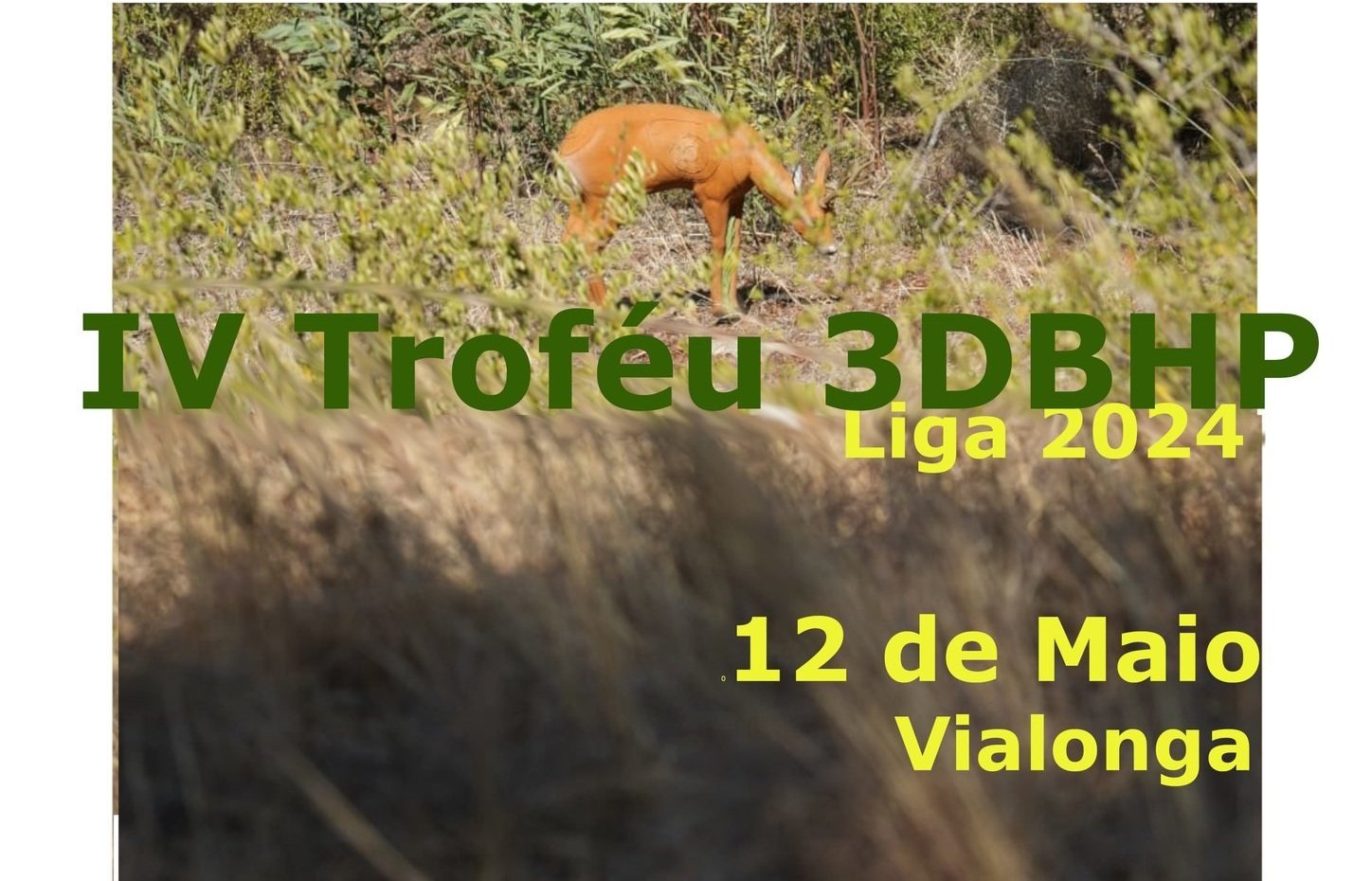 IV Troféu 3DBHP - Liga 2024
