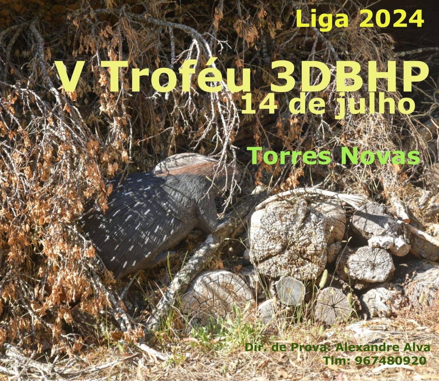 V Troféu 3DBHP - Liga 2024