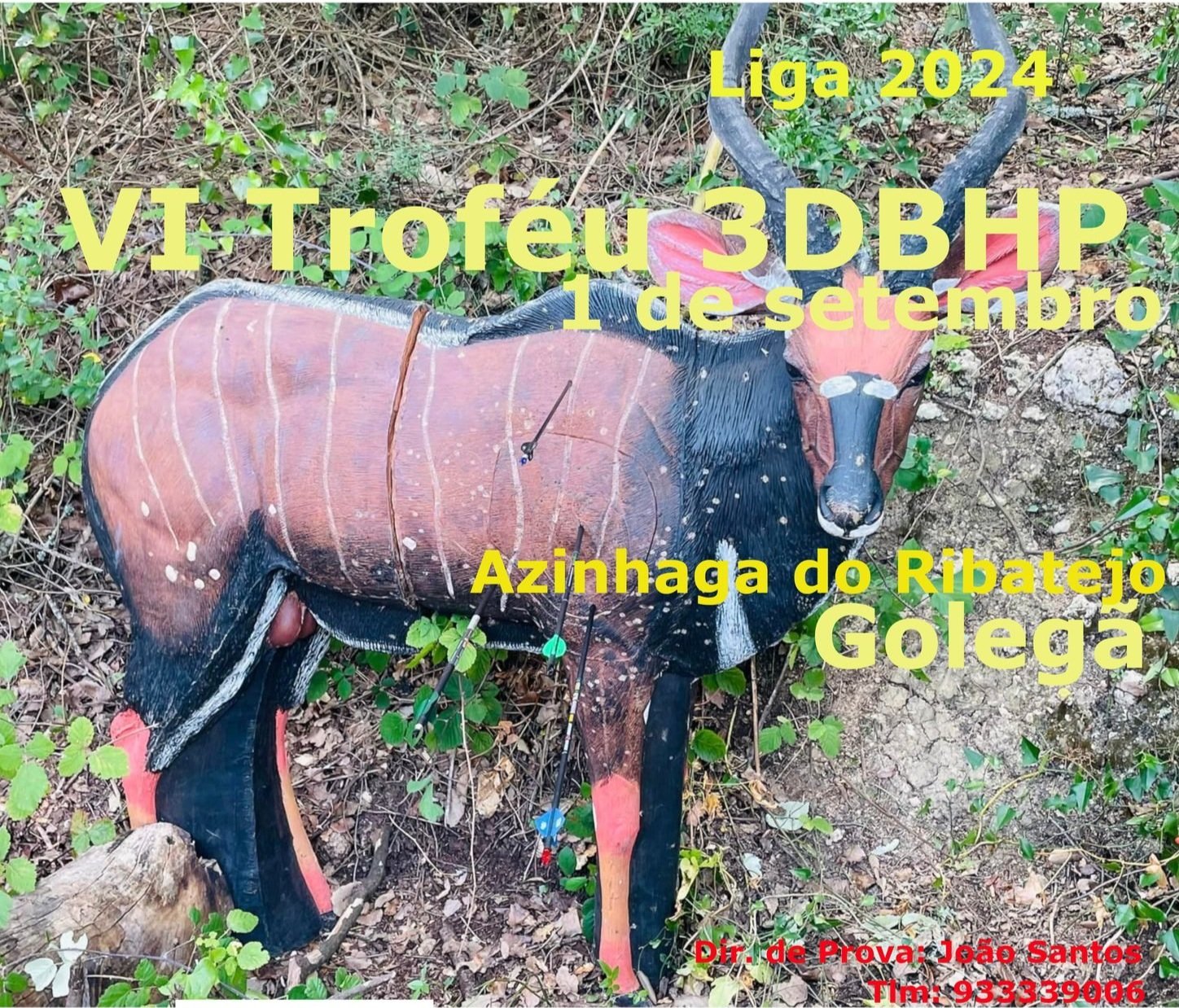 VI Troféu 3DBHP - Liga 2024