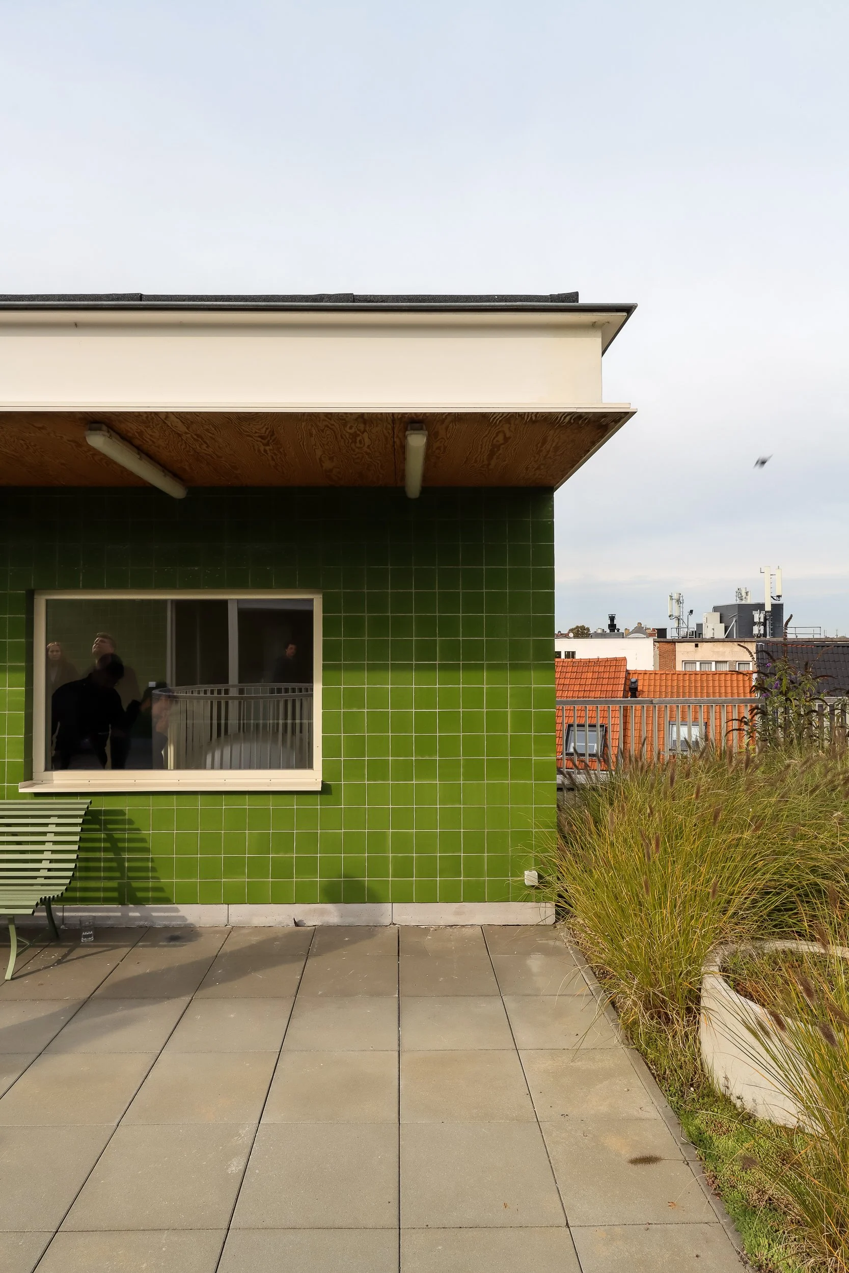Away from the streets. Roof garden for the homeless.