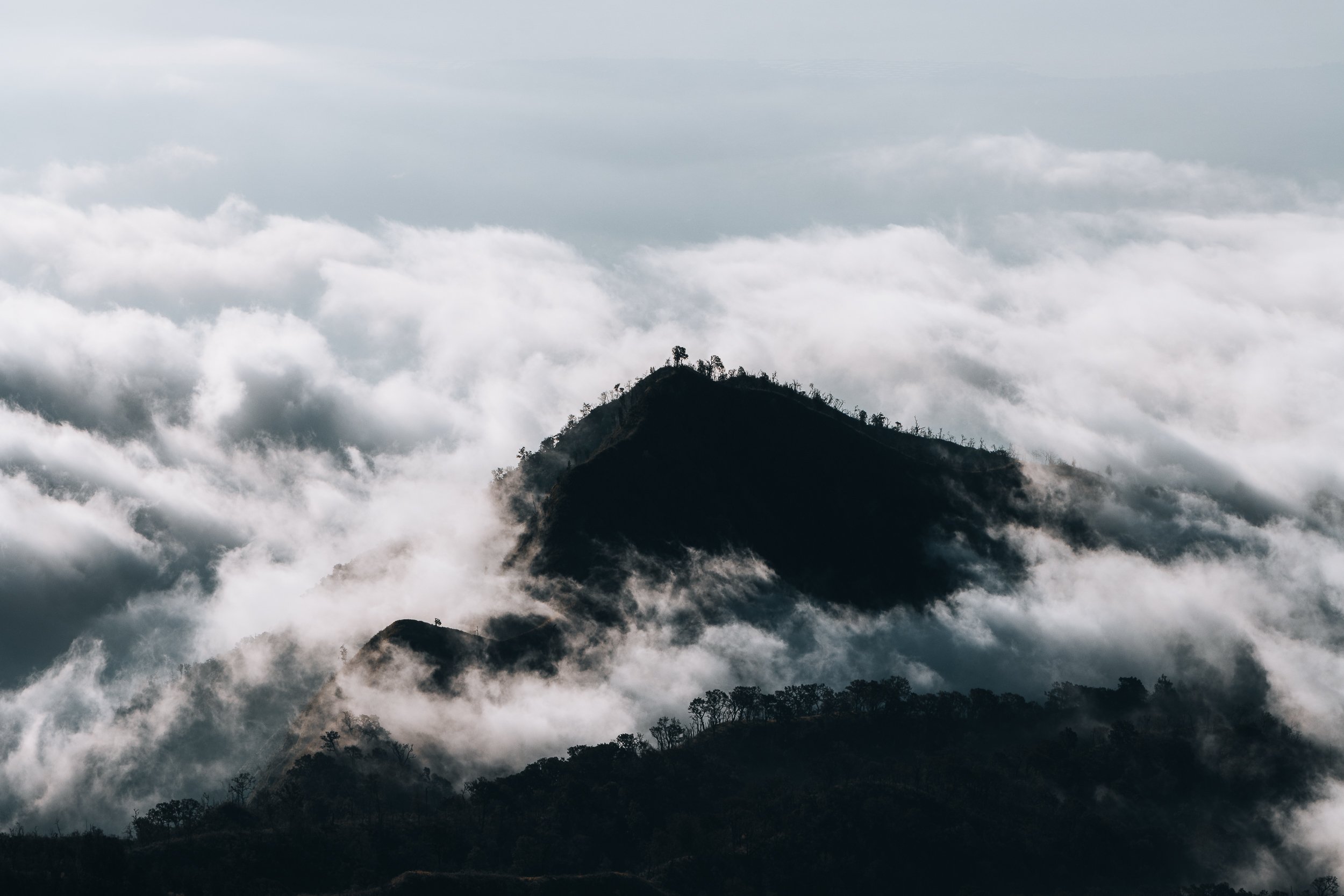 2024 - Room for Growth