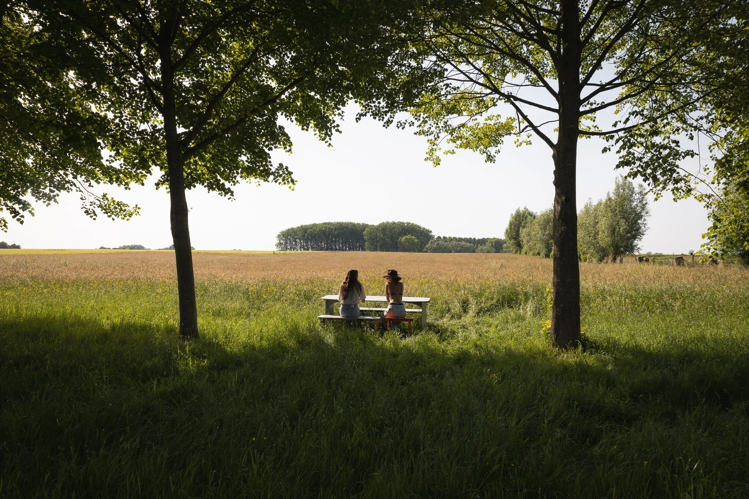 Wild dinner - Lessines, Belgium / for Feston / 2026