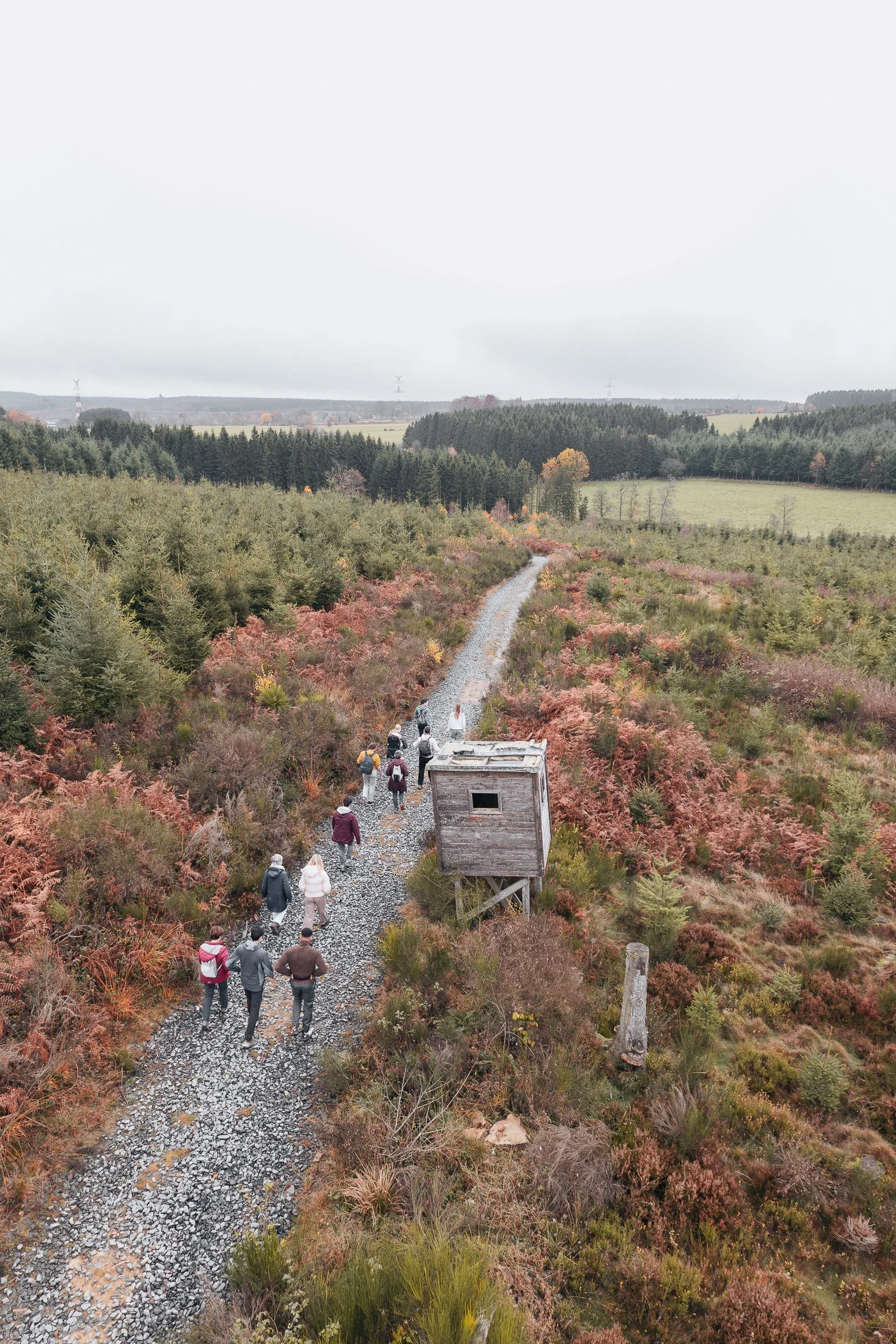 On the lookout, Vielsalm / 2025